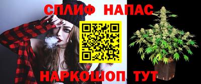 сатива Комсомольск-на-Амуре