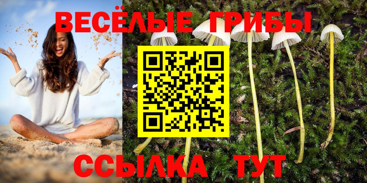 Галлюциногенные грибы MAGIC MUSHROOMS  где купить   Донской  Вход с VPN 